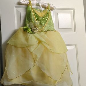 Princess and the frog Tiana dress